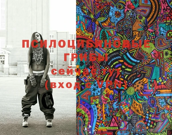 молекула духа Осташков