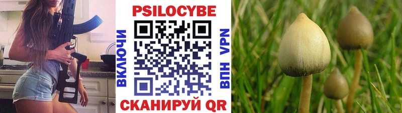 Псилоцибиновые грибы мухоморы  Петровск 