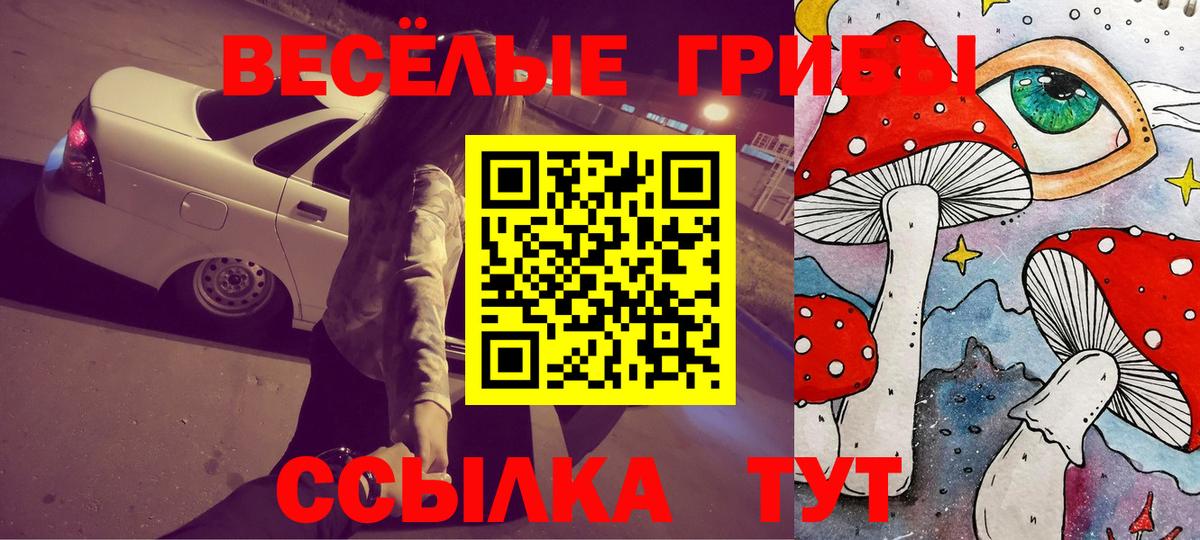 Псилоцибиновые грибы мухоморы  Вход с VPN  Псилоцибиновые грибы Magic Shrooms  Петровск 